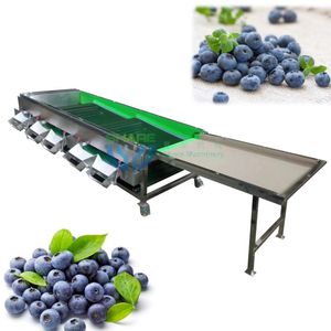 Blueberry Sorting Line Machine Cherry Grading Machine Reemoon Cherry Sorting Machine Blueberry Sorting Machine