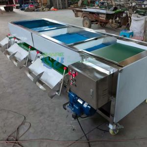 Blueberry Sorting Line Machine Cherry Grading Machine Reemoon Cherry Sorting Machine Blueberry Sorting Machine