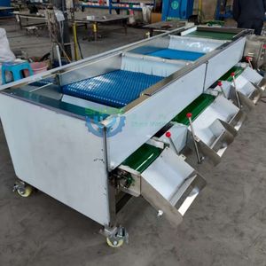 Blueberry Sorting Line Machine Cherry Grading Machine Reemoon Cherry Sorting Machine Blueberry Sorting Machine