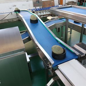 Apple Optical Inspection Machine, Apple Non-Destructive Optical Sorting Machine