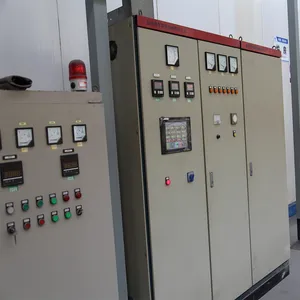 Small-Scale Electric Control System &amp; Control Device
