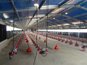 Low Price Automatic Broiler Pan Floor Raising System