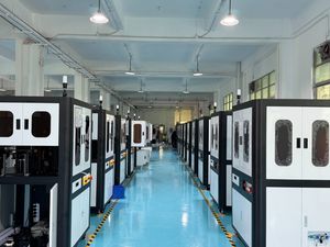 Visual Inspection Sorting Machine Customized O-Ring Auto Parts Automated Optical Inspection Equipment