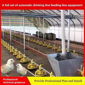 Poultry Farm Machinery for Fully Automatic Feeding System