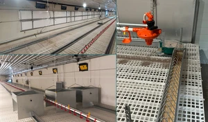 Advanced Smart Chain Feeding System for Optimal Chicken Nutrition