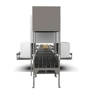 Sorting Machine Dws Logistics System for Plastic Recycling Sorting