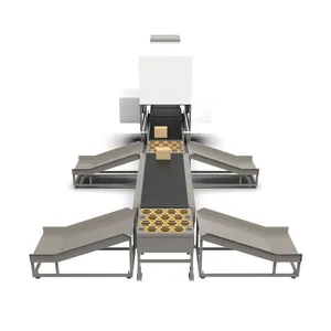 Sorting Machine Dws Logistics System for Plastic Recycling Sorting