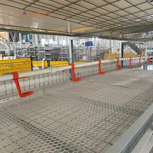 Automated System Matching Broiler Cage H Frame Chicken Rearing Equipment