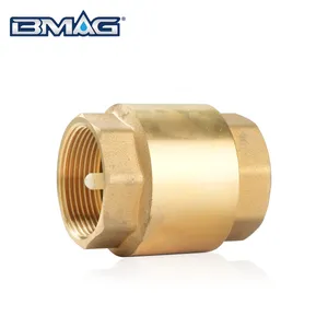 Durable Brass Spring Loaded Check Valve for One-Way Flow