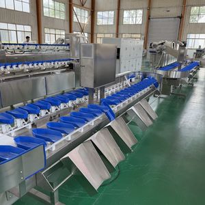 Rotary Cod Weight Sorting System