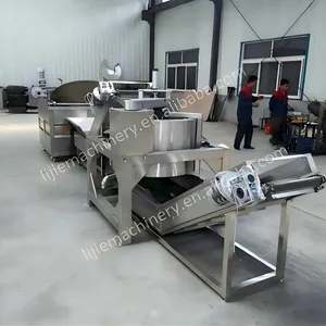 Small Capacity Snacks Frying Machine Snacks Making Machine