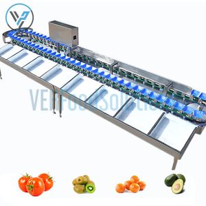 Automatic Weight Sorting Machine/Fruit Grading Sorting Machine/Shellfish Sorting Grading Machine for Selling