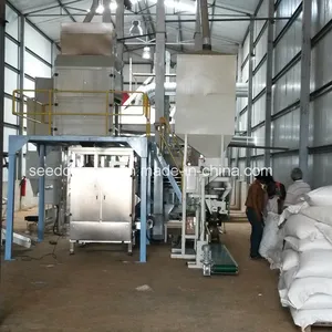 Automatic Granules Packaging Machine System