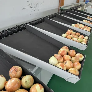 Dragon Fruit Sorting Machine Mango Fruit Computerized Weight Sorting Machine