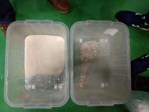 Steamed Rice Grading Machine Rice Colour Sorter Device