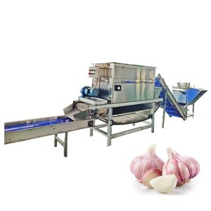 Professional Mini Rice Colour Rice Colour Areca Nut Sorting Machine Garlic Color Sorter Machine