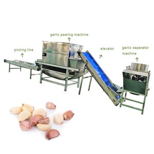 Professional Mini Rice Colour Rice Colour Areca Nut Sorting Machine Garlic Color Sorter Machine