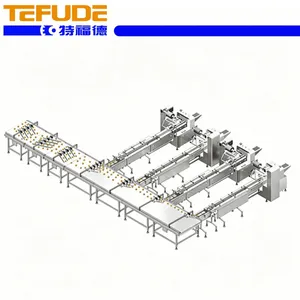 Tefude Feeding Packaging Production Line Bakery Biscuit Wafer Flow Wrapping Packaging System