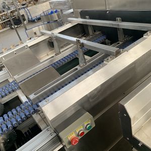 Jujube Camera Visual Inspection Color Sorting and Grading Machine