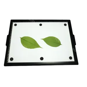Full Color Hand Touch Screen Leaf Area Measurement System