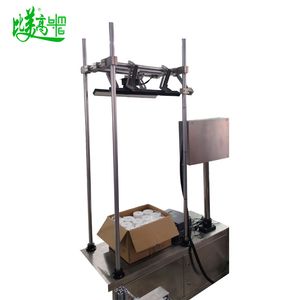 Inline Carton Aggregation & Code Collection Machine for Pallet Serialization