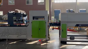 Efficient Automatic Carton Packing and Flexo Printing System
