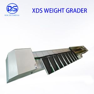 Computer Fruit Grading Machine Ai-Based Optical Sorting System for Apples
