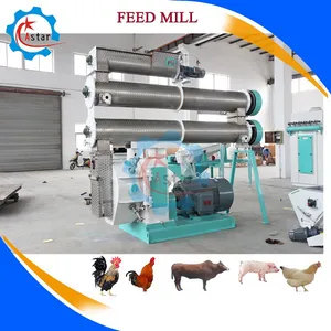 Small Home Use Chicken Feed Processing Machine Line