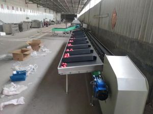 Fruit Vegetable Sorting Machine Avocado Sorting Machine Dragon Fruit Sorting Machine