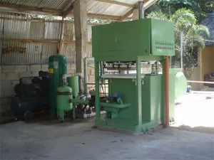 Automatic Paper Egg Tray Making Machine Production Line with Brick Kiln Drying System