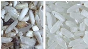 Chalky Rice Optical Sorting Machine for Remove Bad Rice