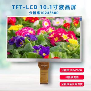 Monitoring Module Screen LCD TFT 10.1 Inch Display