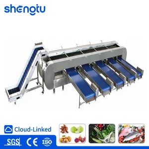 High-Speed Weight Sorting Machine for Streamlined Package Processing Solutions