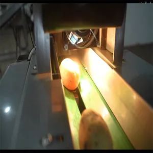 Peach Weight Sorting Machine, Factory Direct-Sale Grading Processing Assembly Line