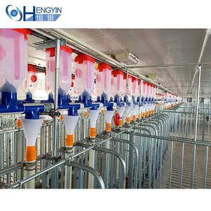 Pigs Chain Feeding Chain Feeding System