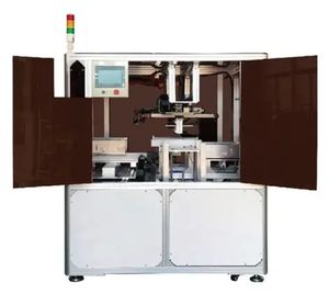 Multi-Function CCD Vision Defect Sorting Machine