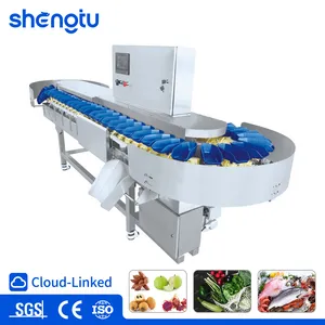 High-Speed Weight Sorting Machine for Streamlined Package Processing Solutions