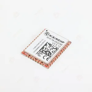 High-Performance Mini Lorawan Module for Remote Communication in IoT Applications