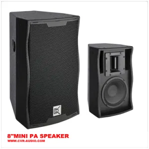 Mini Powered Speaker Conference Portable PA System