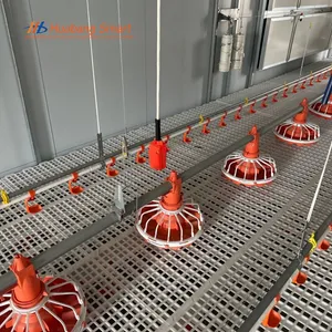 Comprehensive Poultry Farm Automatic Feeding Line System