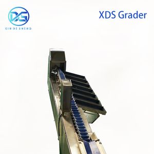 Color Sorting Machine & Packing Line – Integrated Sorting System