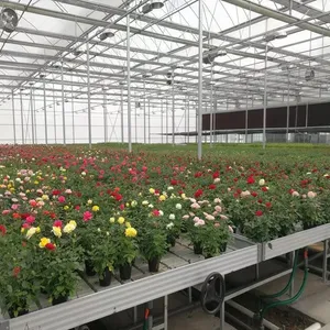 Grow Racks and Rolling Bench Flood Trays Cultivation Growing Rack Ebb Vertical Grow Rack System
