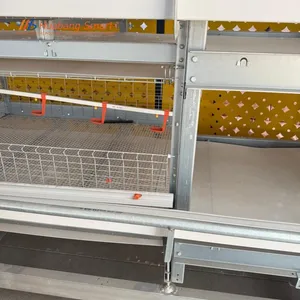 High Durability Anti-Rust Stable Feeding Automatic Water Broiler Rearing Cage System