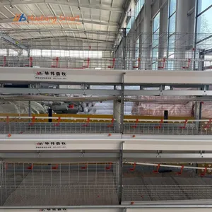 High Durability Anti-Rust Stable Feeding Automatic Water Broiler Rearing Cage System