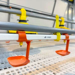 Poultry Equipment Innovative Fully Automatic Poultry Drinking Water Line System