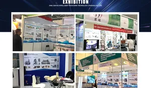 Advanced Rice Cake Disc Plate High Speed Horizontal Sealing Flow Wrapping Machine