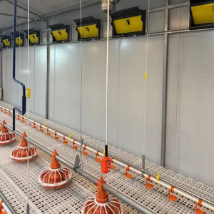 Poultry Equipment Innovative Fully Automatic Poultry Drinking Water Line System