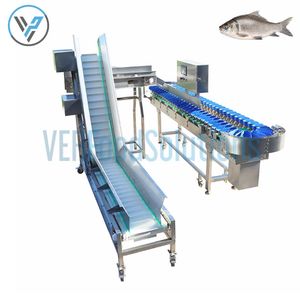 Automatic Weight Sorting Machine/Fruit Grading Sorting Machine/Shellfish Sorting Grading Machine for Selling