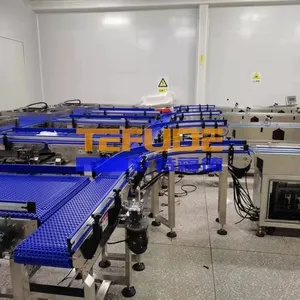 Integrated Food Packing Line with Tray Stacking and Flow Wrapping System