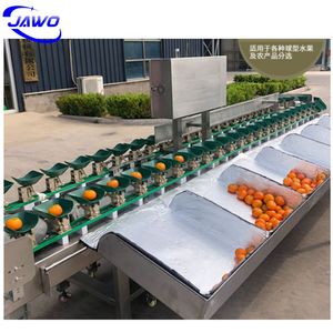 Fish Grading Machine Check Weigher Machine Optical Sorting Machine